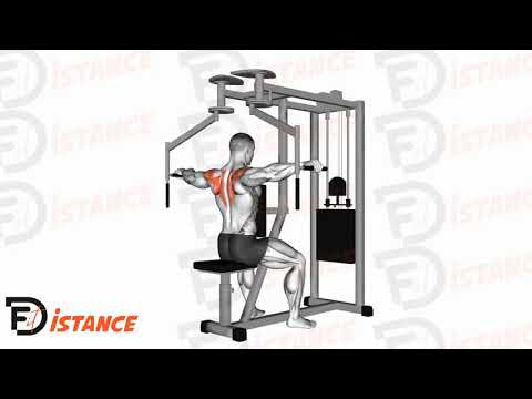 Butterfly inversé (reverse fly) - Exercice Butterfly inversé (reverse fly) en vidéo Butterfly inversé (reverse fly) - Exercice Butterfly inversé (reverse fly) en vidéo