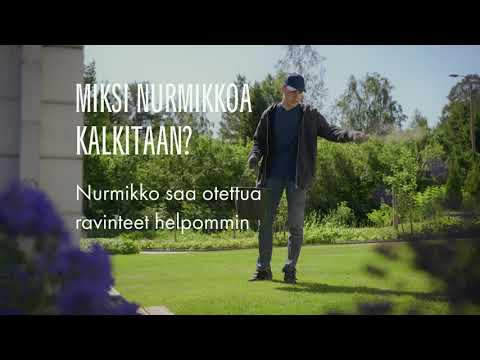 Miksi nurmikkoa kalkitaan?