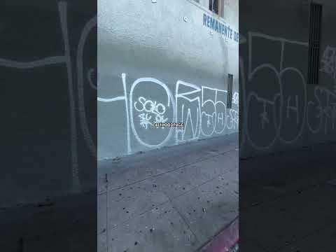 Hangout Boys 55 Bunch