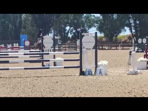 es un buen travajo del callo de salto en el estado de santa rosa California