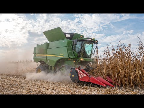 John Deere S680i + Capello Diamant 8 row 🌽 | Massignani