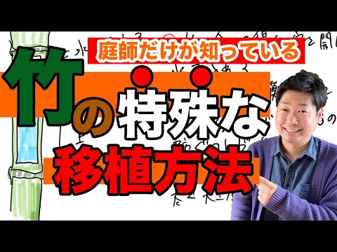 竹:植えるのに適した時期はいつですか? トピックス