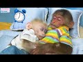 Nanny BiBi helps dad take care of baby monkey Obi