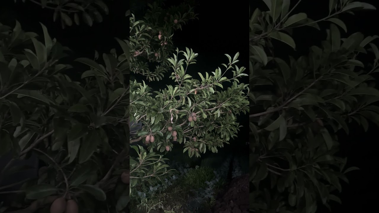 皆さんが故郷に帰るときの気持ちは何ですか？