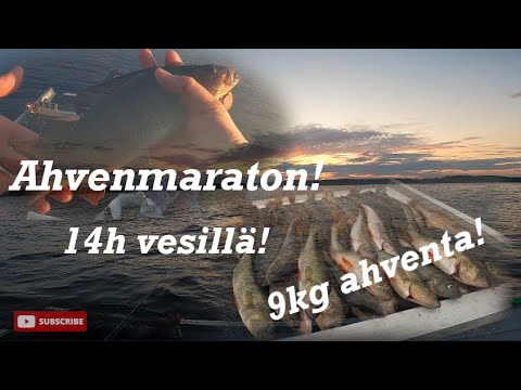AHVENMARATON | 14 TUNTIA KALASSA | 9KG FILEAHVENTA MATKAAN | HAUET RIESANA K1/J25