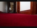 Random Ep 3 Story Of A Sock