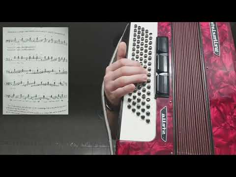 Basuri la acordeon (NOTE)