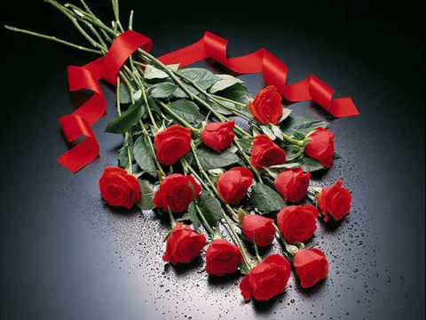 QARIZMA FT 27 EFKAR BOMBASTIQ