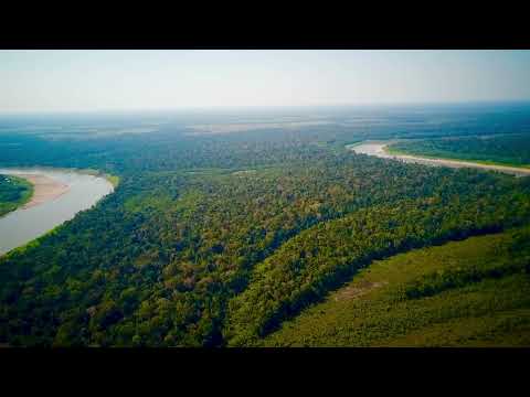 Do Porto de pauini Amazonas ao seruri…