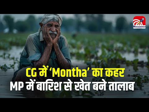 Montha cyclone Update: CG में ‘Montha’ का कहर, पुलिया टूटी, MP में बारिश से खेत बने तालाब