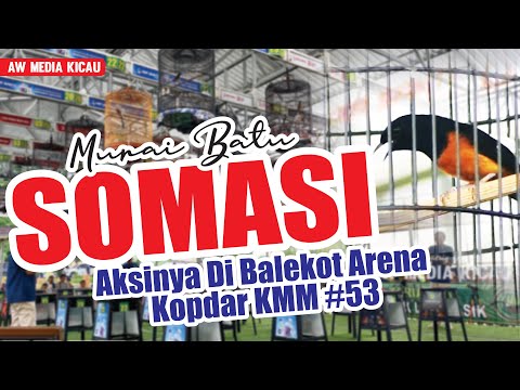 AKSINYA MURAI BATU SOMASI DI GELARAN KOPDAR KMM #53 BALEKOTA ARENA