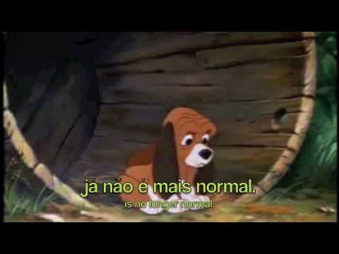 Seu melhor amigo video