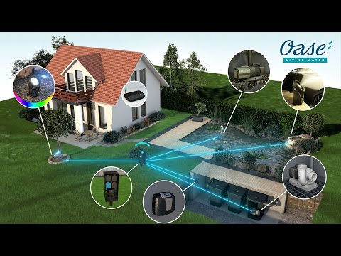 Watch Video on YouTube