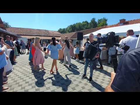 ČIČA OBRENOVO KOLO - ORKESTAR SAŠE DIMITRIJEVIĆA COLETA 