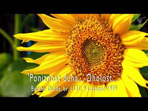 Bertha Dudde br. 1131 'Poniznost duha... Oholost...'