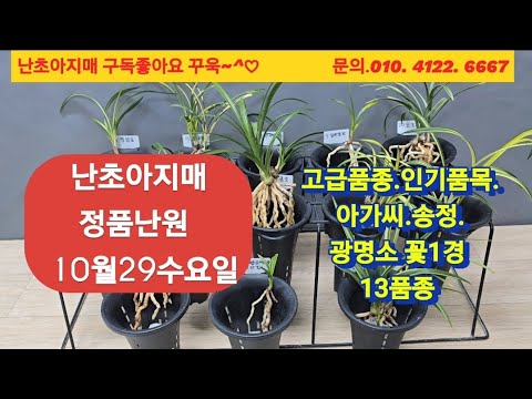 유튜브 썸네일