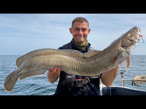 Deep Sea Wreck Fishing - Fishing sunken Shipwrecks for BIG Fish for food | The Fish Locker