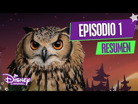 Miniatura del vídeo