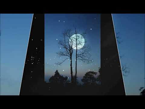 Ngày mai ai hay Sheet - Anh Dũng