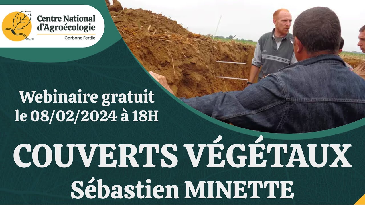 Les couverts végétaux : impacts et retour sur investissement avec la méthode MERCI - CNA