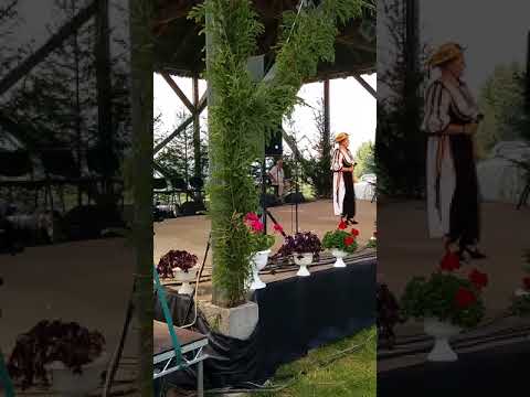 Festival Jina Rodica Popa Comaniciu