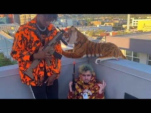 Sad Frosty x DC The Don - Lol Me and DC Made This in 10 Minutes (Official Music Video)