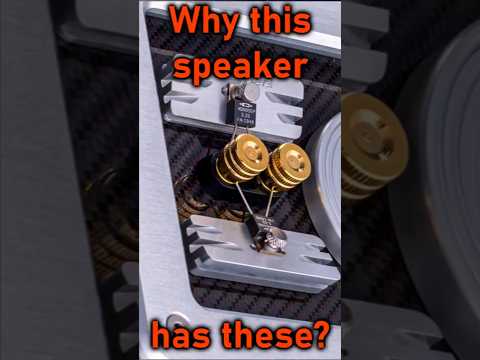 You Can Tune $35k Speakers With These Tiny Resistors #highendaudio #hifi #tech #electrical