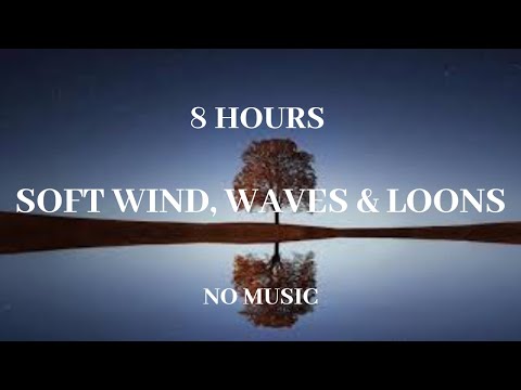 Soft Wind, Gentle Waves & Occasional Loon Call { 8 Hours } **No Music**