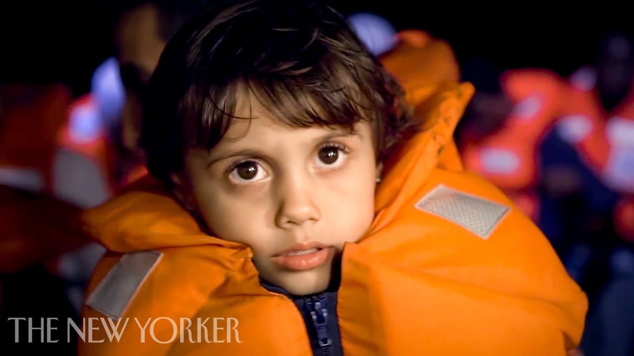 Lifeboat | 2019 Oscar Nominee | The Screening Room | The New Yorker