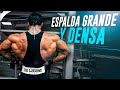 BACK WORKOUT - ENTRENAMIENTO DE ESPALDA