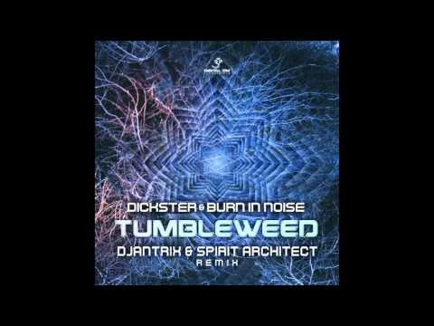 Dickster & Burn in Noise - Tumbleweed (Djantrix & Spirit Architect remix)