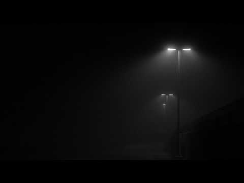 Platunoff & Hidden Tigress - Until the Dawn (Zan Prevee Remix)