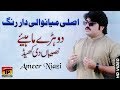 Sari Naseeban Diyan Khel Ameer Niazi Latest Song 2018 Latest Punjabi And Saraiki