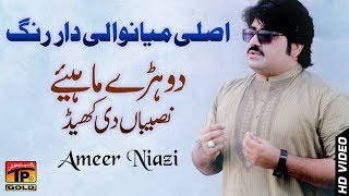 Sari Naseeban Diyan Khel - Ameer Niazi - Latest So
