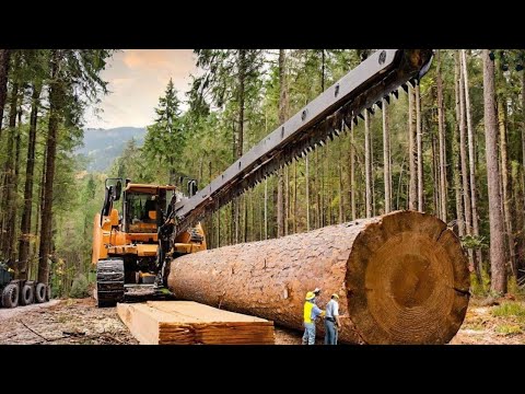 TOP 10 Most Powerful Forestry Machines | Powerful machines on a different level You Need to See