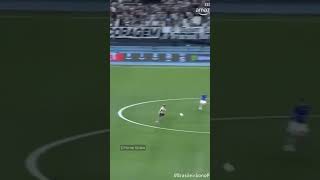 O Danilo deu show, e o Botafogo goleou o Cruzeiro