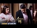 Mein Hari Piya 2nd Last Episode | Tonight at 9:00 pm only on ARY Digital