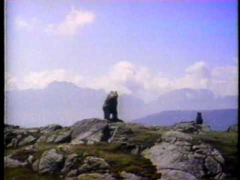 CTV Özel Film tamponu The Bear 1992