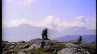 The Bear (1988) Video