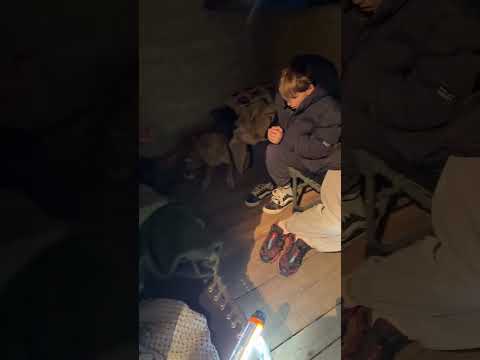 What Ukrainians Feel Right Now — And Why the Anger Runs So Deep