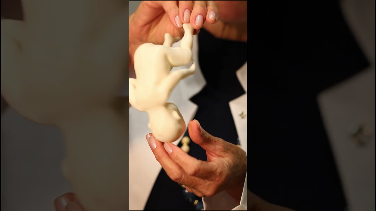 Terezinha Oliveira Negrão Lopes-0