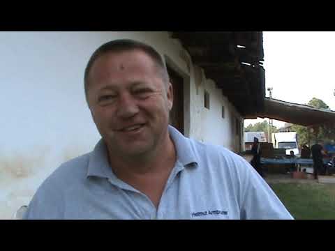 Interviu columbofil dl Oprea Mario Starchiojd Prahova Roamani 10 iulie 2019