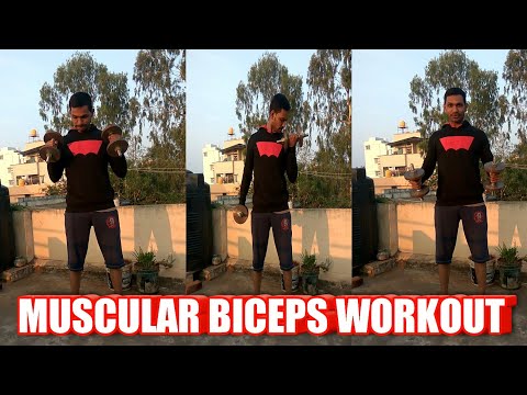 MUSCULAR BICEPS WORKOUT|HOW TO GET BIG BICEPS|MY FITNESS KANNADA CHANNEL Video