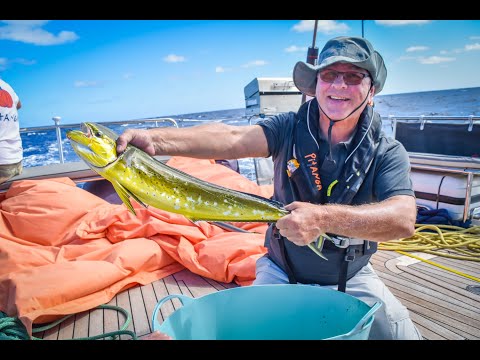 ARC 2018 - our Atlantic crossing with S/Y Pitanga