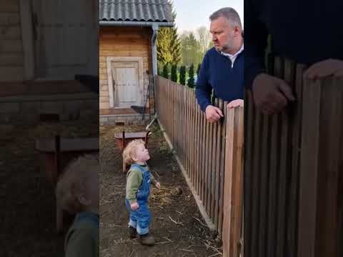 Wont do miasta... 🌆 a nie na wsi... #pepa #swinia #kogut #miastowy #wies #wieś