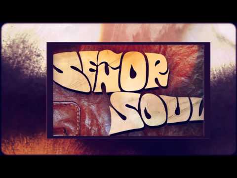I Ain't Got No Soul Today (What It Is Y'all) by Señor Soul from Mucho Funky Best Of Señor Soul