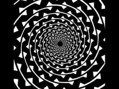 PAVLIG_1 No more fucking electro shit