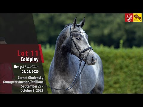 Cornet Obolensky Youngster Auction Lot 11 Coldplay Hengst v. Cornet Obolensky - Lancer III