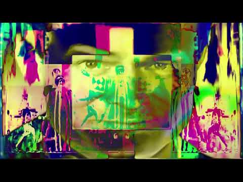 KöSHRiMP - ESPRESSO [MV]