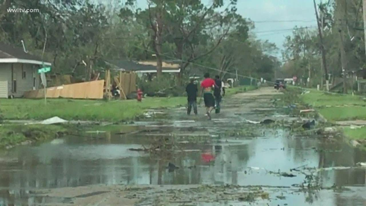 Hurricane Laura aftermath and damage | Uprooted trees, power lines knocked down across Lake Charles